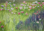 Flowers in Field Watercolor
